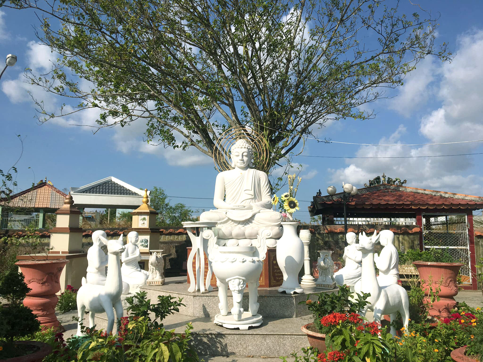 Start your Ca Mau Travel with tranquil vibes
